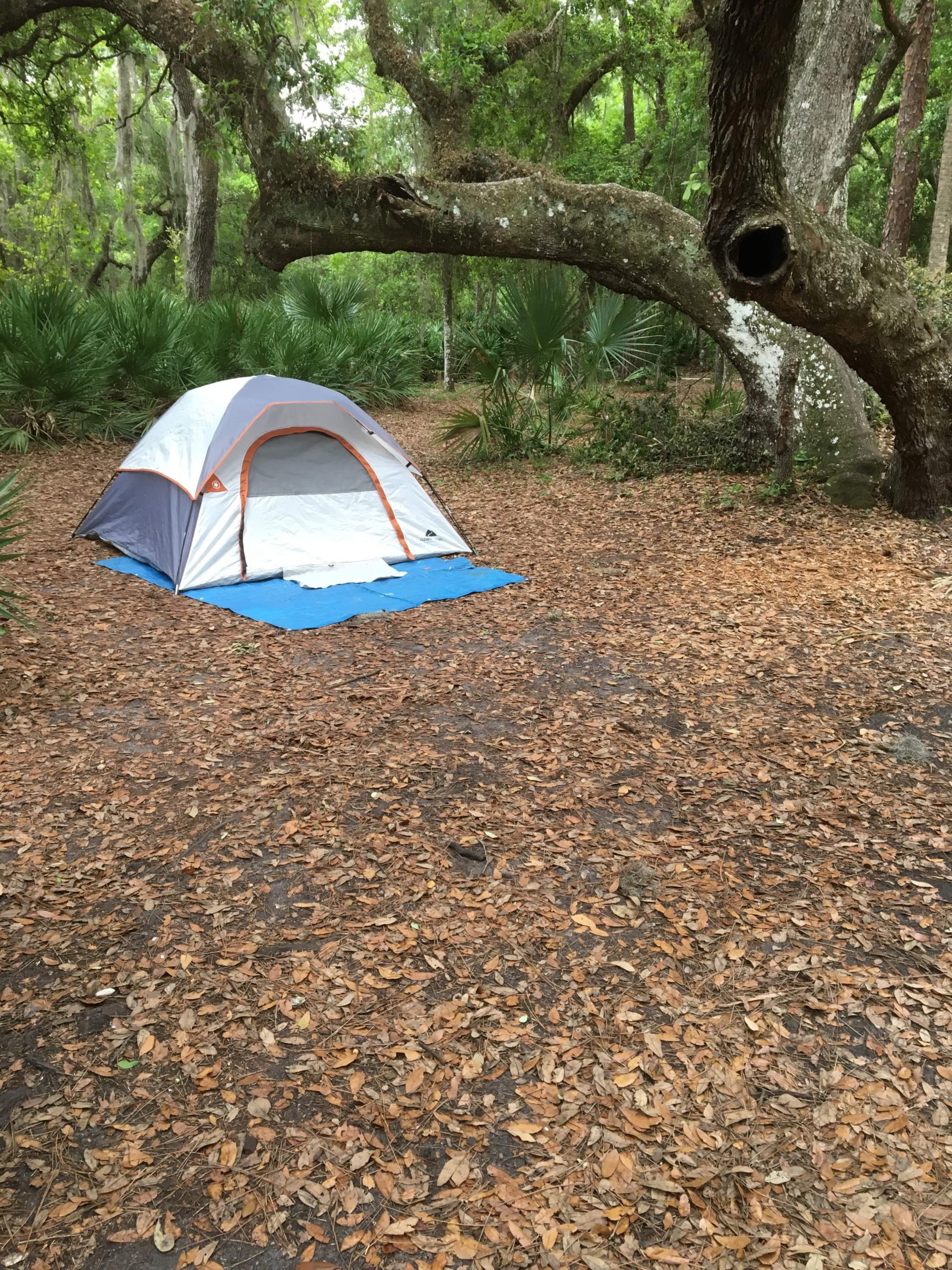 Ozark Trail tent